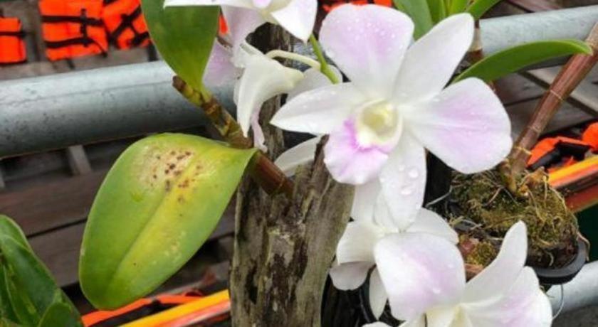 Orchid Lake House Ban Wang Khon Eksteriør bilde